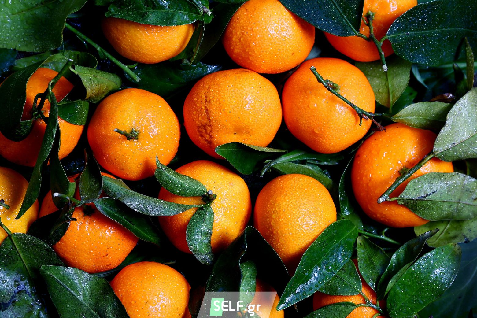 portokali kai vitamini